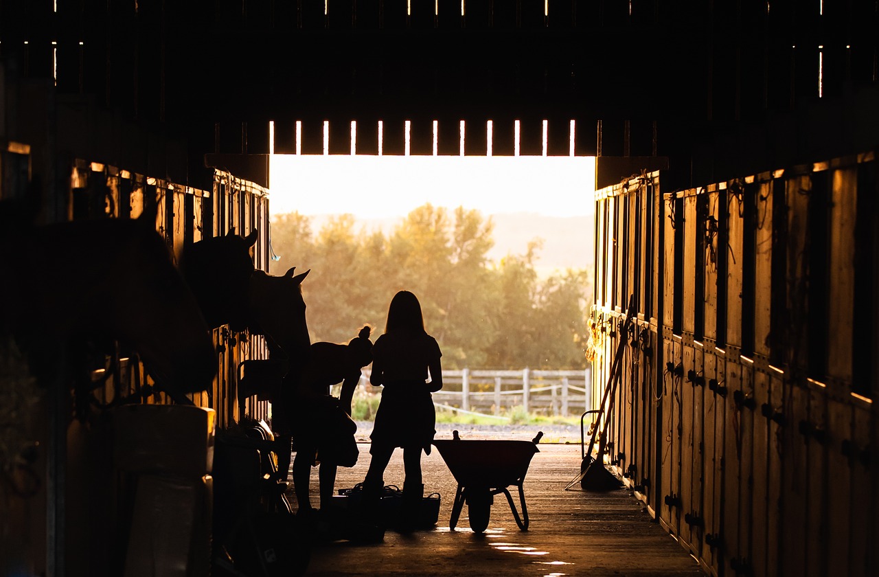 Pasze dla koni – dobre rozwiązania dla zwierząt